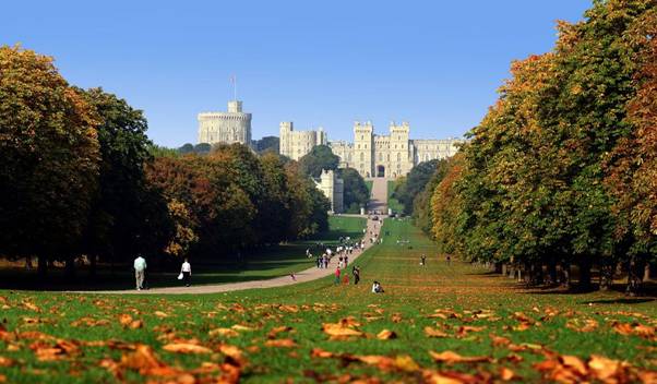 Autumn Colours in Windsor Great Park, Windsor, Berkshire - Credit Visit Windsor